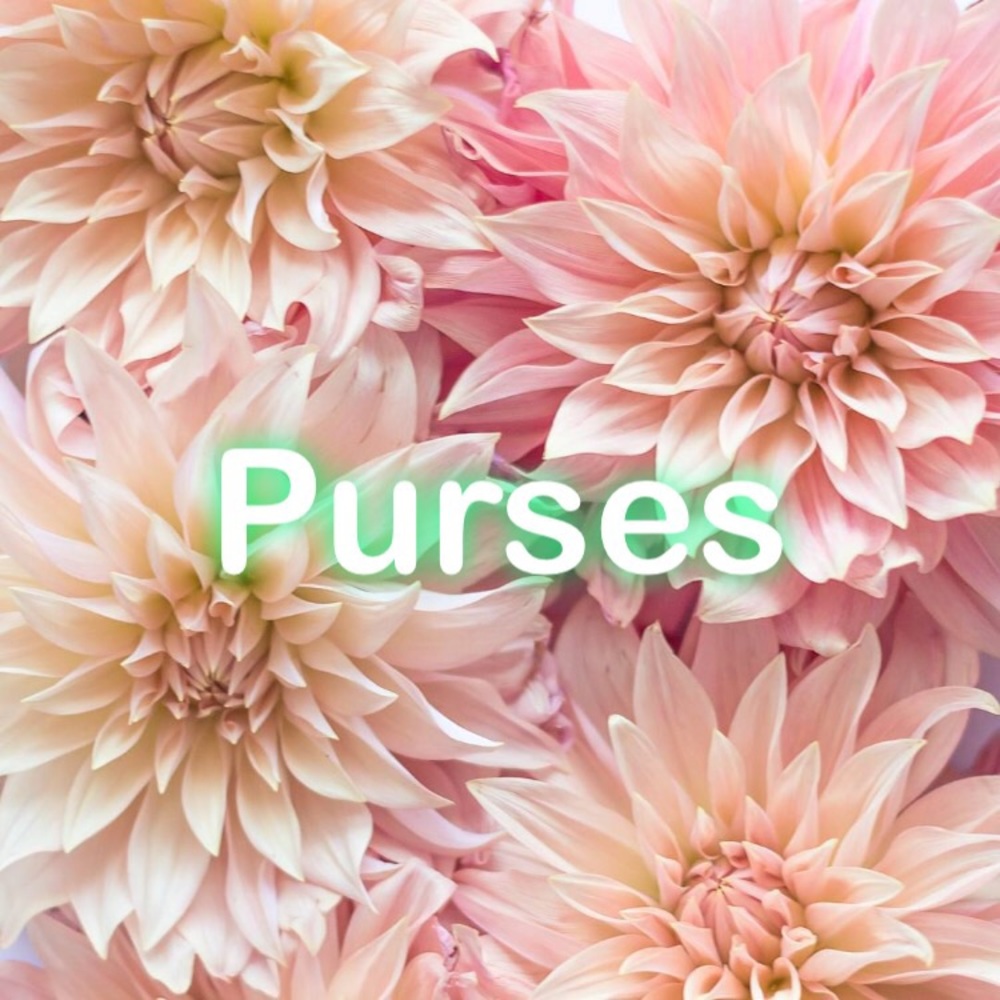 Purses section of my closet